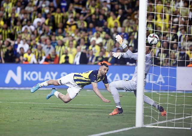 新星球員以 新星球員以