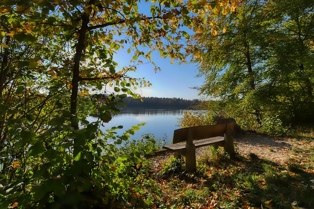 黑马崛起 黑马崛起