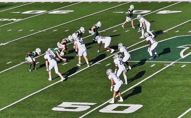 日耳曼主场 日耳曼主场