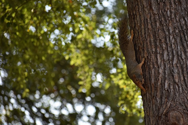 南水北调工 南水北调工