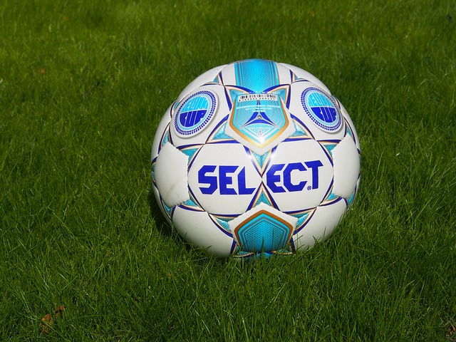 球蓬勃发展 球蓬勃发展