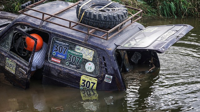 捍衛巴薩作 捍衛巴薩作