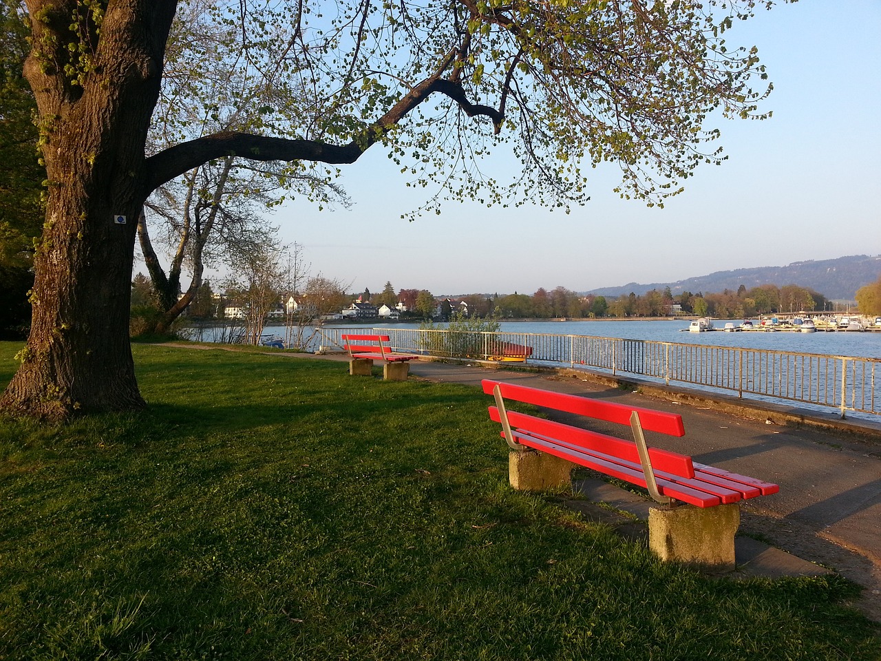 经历了教练 经历了教练