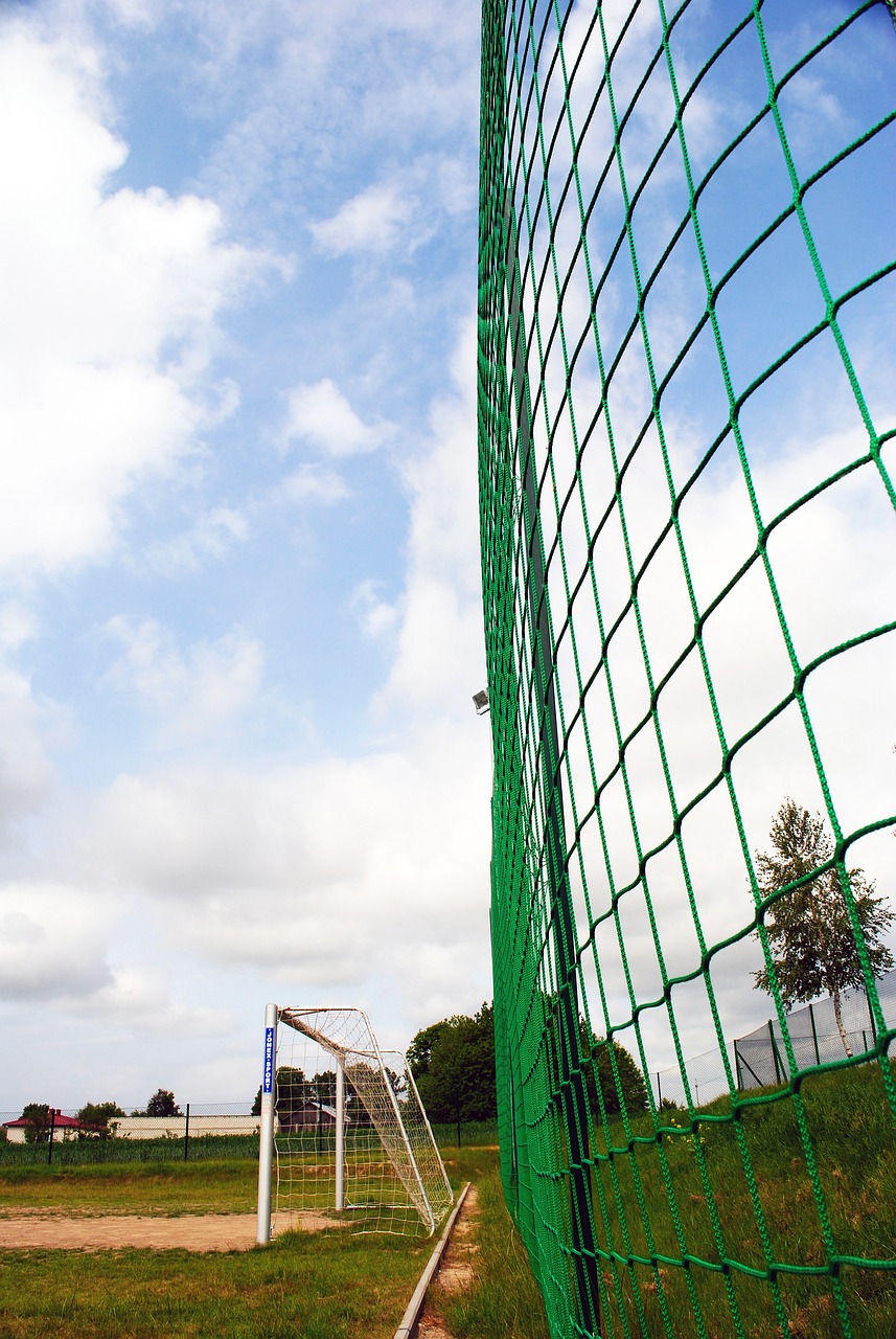 这一趋势逐 这一趋势逐