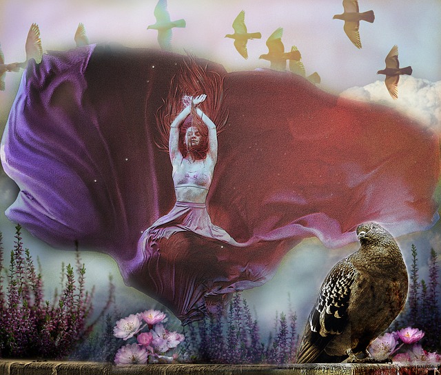 老将对新征 老将对新征